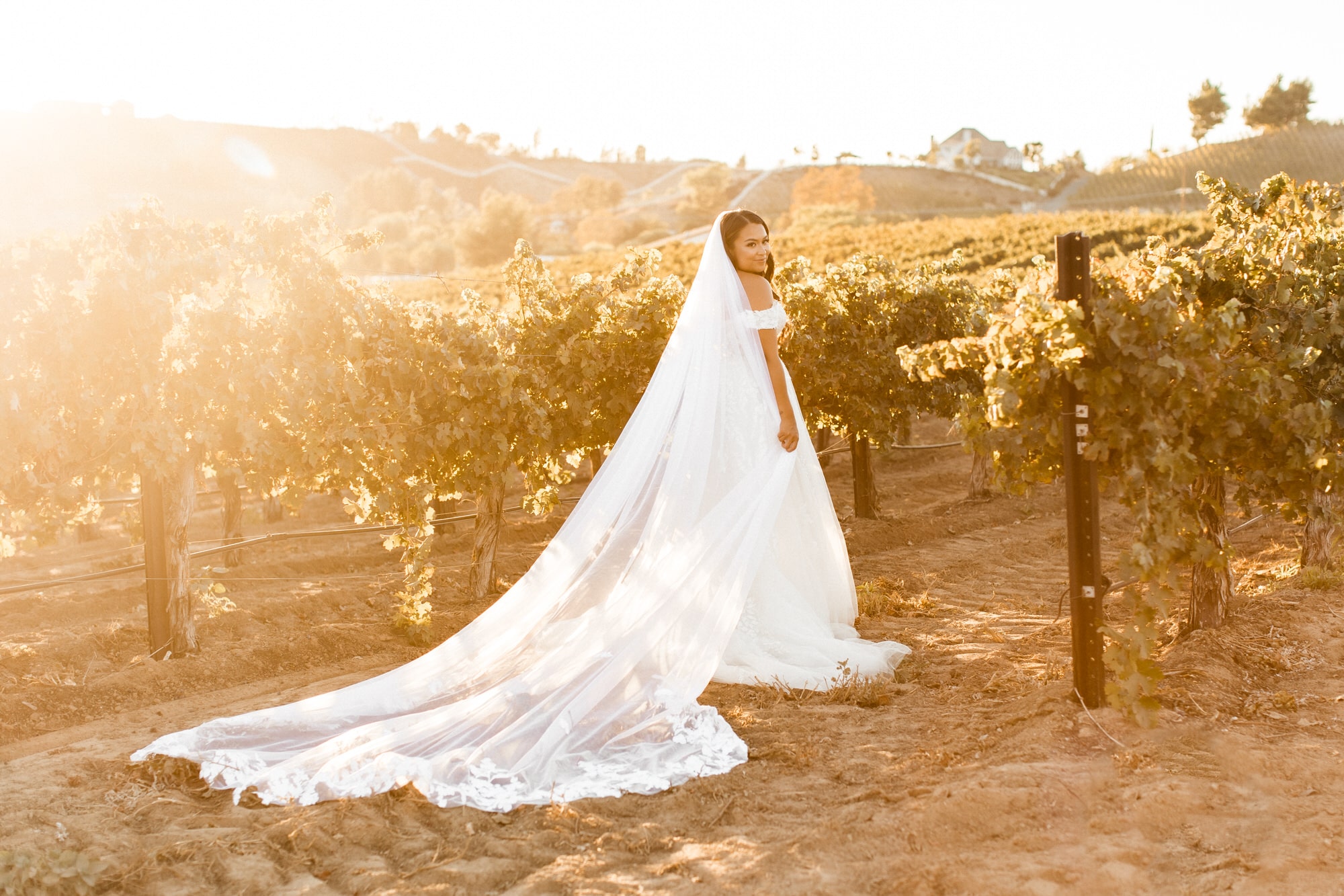 Bride strolling through the vineyards in Italy